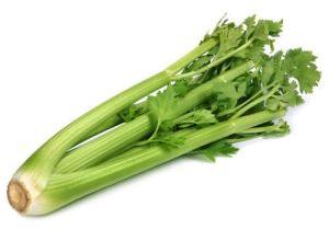 Fresh Celery