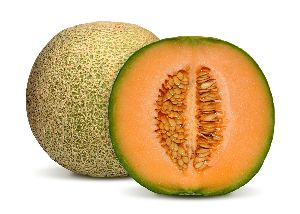 Fresh Muskmelon