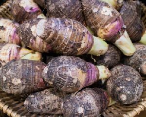 Fresh Taro