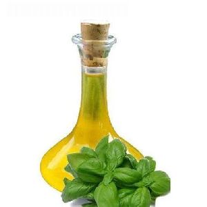 Holy Basil Oil