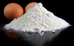 Egg Shell Powder