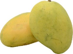 Fresh Dasheri Mango