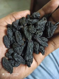 organic black kismis