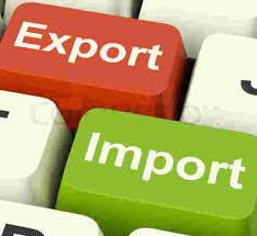 import export database