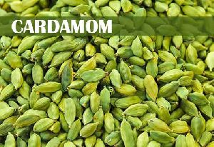 High quality cardamom