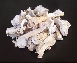 bone ash