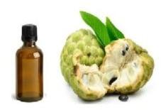 Custard Apple Seed Oil