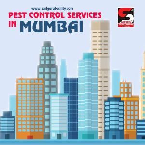 Pest Control Services in Mumbai