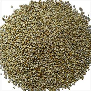 Green Millet