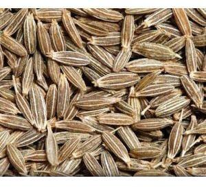 IPM CUMIN SEED