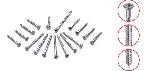 C.S.K. Phillips Self Tapping Wood Screw