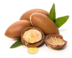 Argan Oil