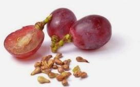 Grape Seed Oil