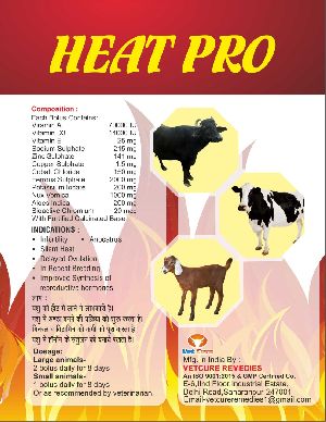HEAT PRO