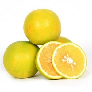 Fresh Sweet Lemon
