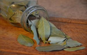 Dried Bay Leaves