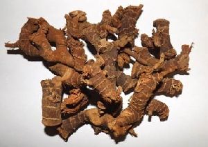 Dried galangal root