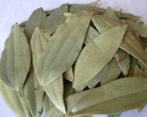 Dried Tej Patta