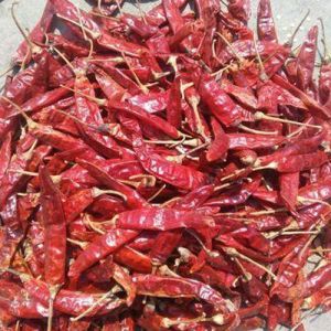 Guntur Red Chilli