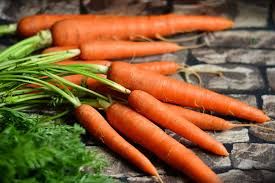 Fresh Carrots