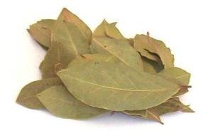 Bay Leaf