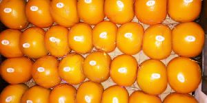 Fresh Kinnow