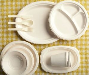 Sugarcane Bagasse Plates