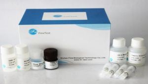 ELISA Test Kit