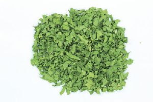 Dehydrated Spinach Leaves