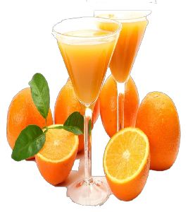 Orange Juice / orange squash