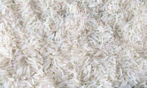 Raw Non Basmati Rice