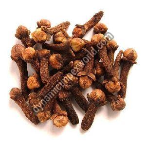 Cloves Seeds