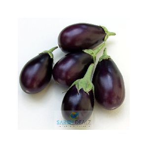 Fresh Brinjal