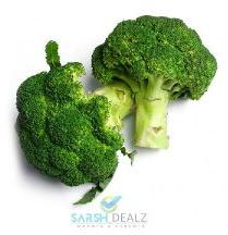 Fresh Broccoli