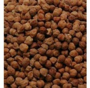 Organic Chickpeas