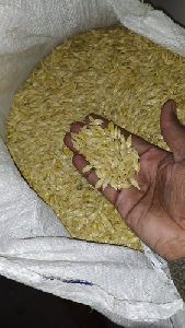 Organic Wheat Seeds