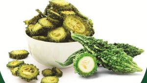 Karela Chips