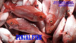 Pinjal Fish