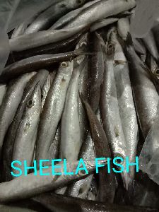 Sheela fish