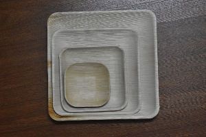 Areca Palm Leaf Square Plate