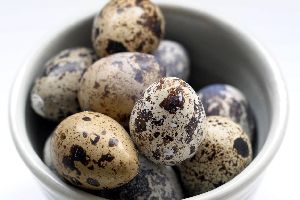 quail eggs