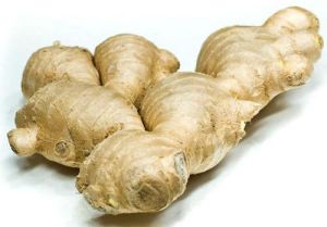 Fresh Ginger