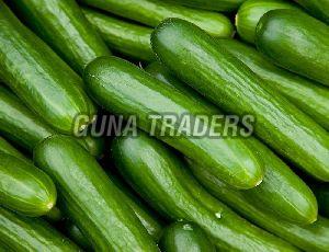 Fresh Cucumber