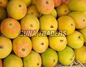 Fresh Hapus Mango