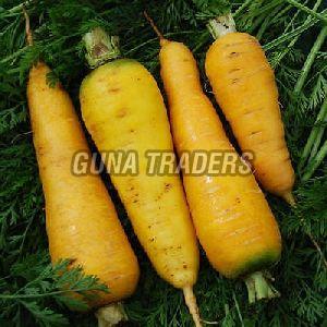 Fresh Yellow Carrot