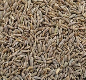 Brown Cumin Seeds