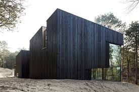 Carbonized Timber