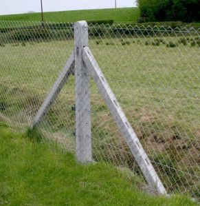 Fencing Poles