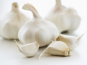 Fresh Raw Garlic