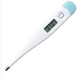 Digital Oral Thermometer